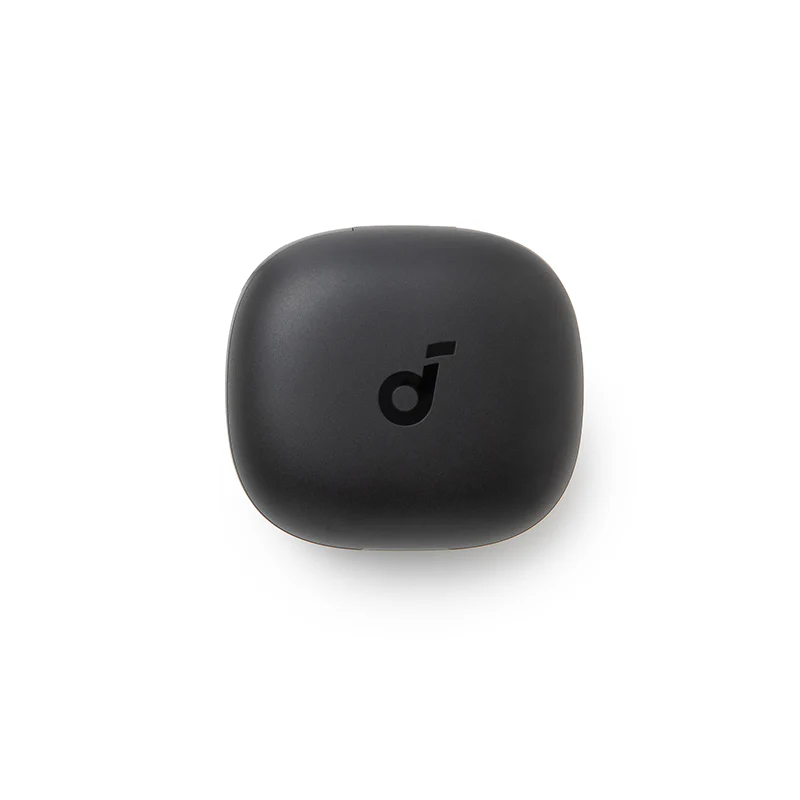 soundcore P20i Charging Case- Black