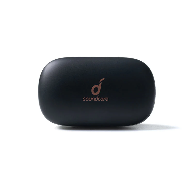 P2 Charging Case - Black - Image 2